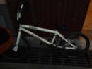 prodám mongoose freestyle