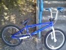 BMX INTENS