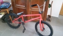 bmx WTP