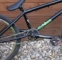 Bmx Wethepeople Crysis 09