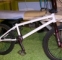 Bmx wethepeople