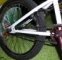 Bmx wethepeople