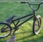 Bmx Wethepeople Crysis 09