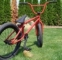 BMX Kolo United Supreme SU1