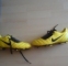 Prodám značkové kopačky (nike),a rukavice (puma)LEVNĚ