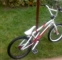 BMX specialized