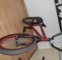 prodám bike