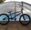 Specialized BMX