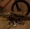 Bmx GT perfomer + dily