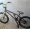 BMX-GT