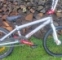 BMX pells fiction