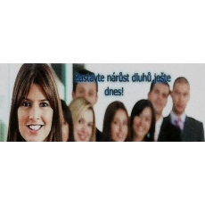 Co je Oddlužení, Osobní bankrot?