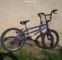 prodám BMX specialized satin