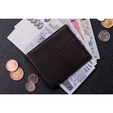 Vážné rychlé financování online 